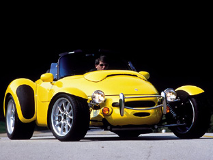 Panoz Roadster: 7 фото