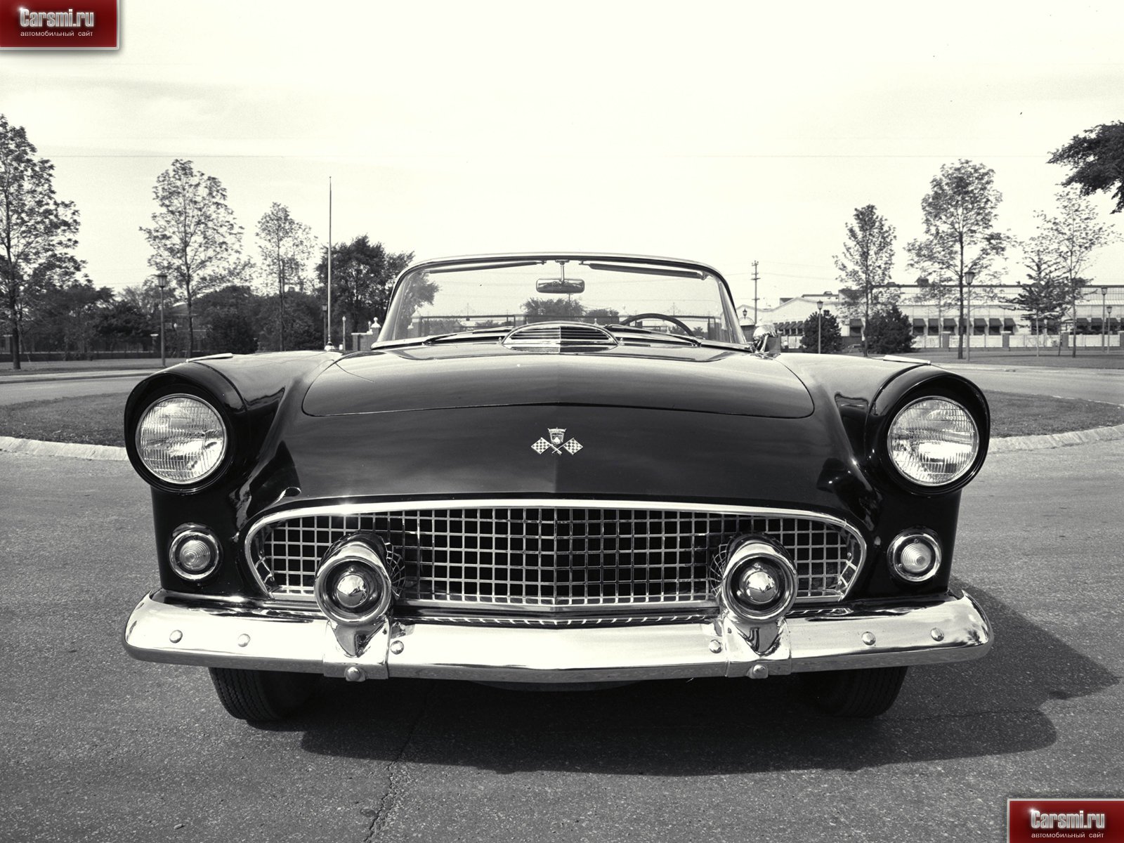 Ford Thunderbird: 12 фото