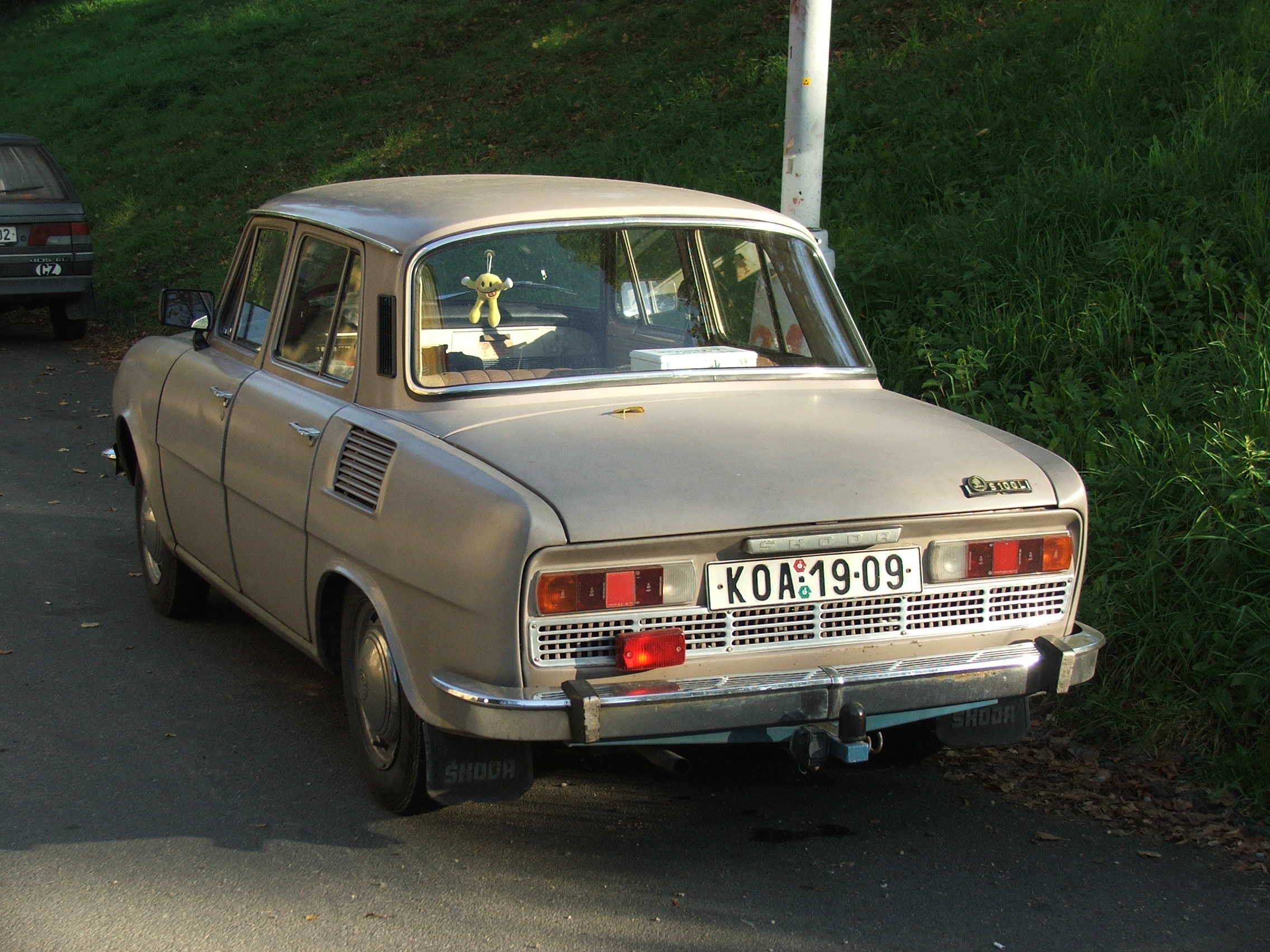 Skoda 100: 1 фото